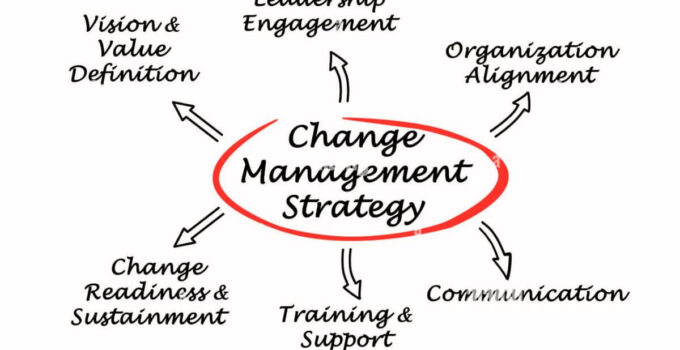 <strong>What is Change Management Strategy? </strong>