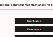 Organizational Behavior Modification Examples 