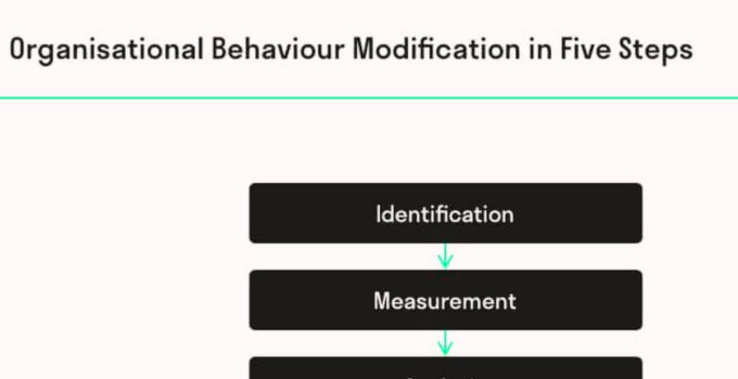 Organizational Behavior Modification Examples 