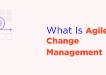 Agile Change Management Model 