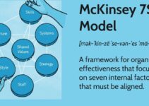 McKinsey 7S Model Change Management 