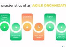 Traits and Characteristics of Agile Organization