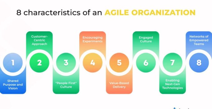 Traits and Characteristics of Agile Organization